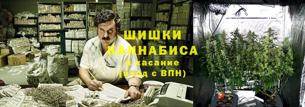 прущие грибы Саяногорск