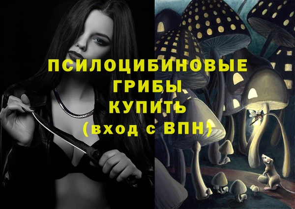 прущие грибы Саяногорск