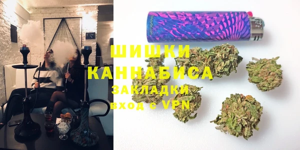 прущие грибы Саяногорск