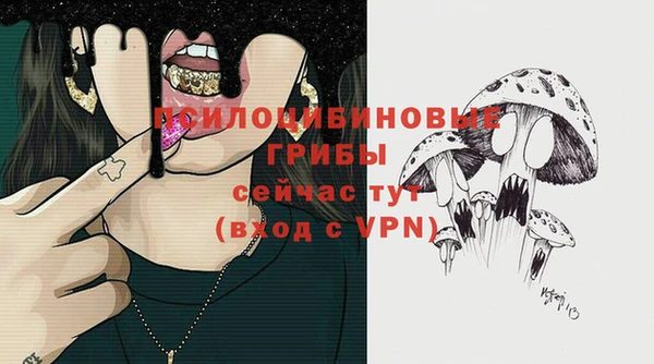 спиды Сатка