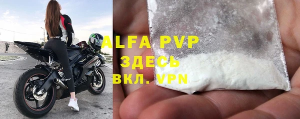 прущие грибы Саяногорск