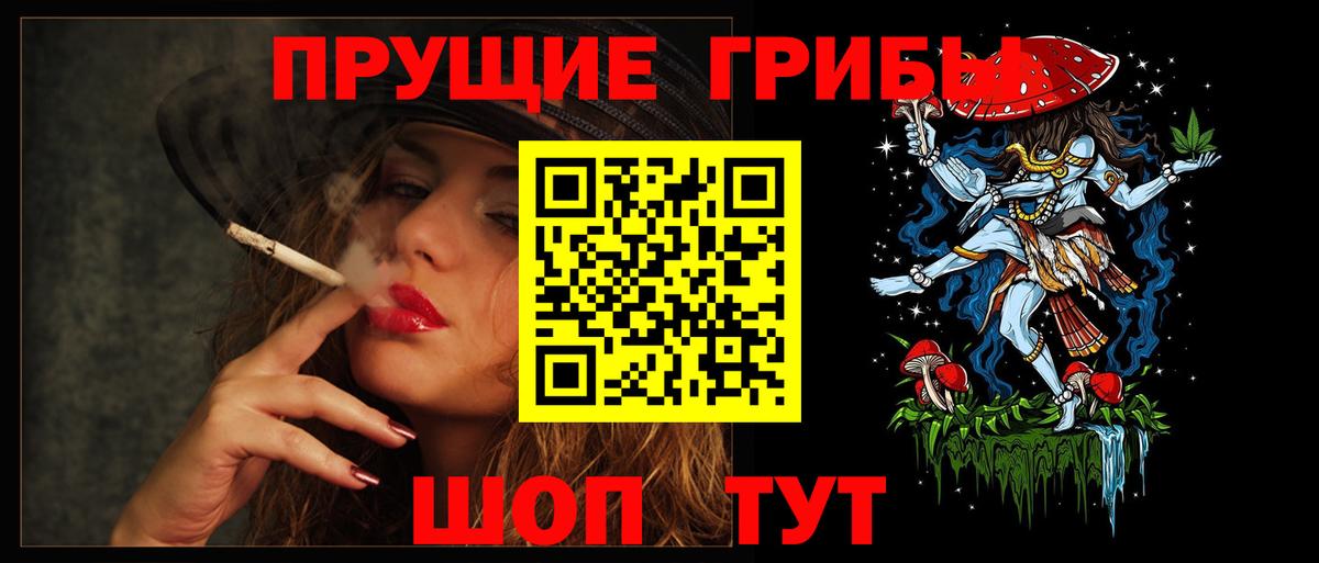 как найти   Вход с VPN  Галлюциногенные грибы Psilocybine cubensis  Красноармейск  Псилоцибиновые грибы Psilocybe 